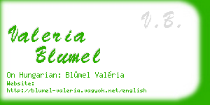 valeria blumel business card