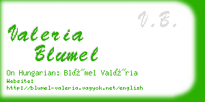 valeria blumel business card